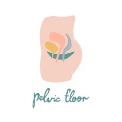 pelvic_floor